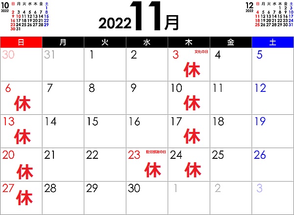 11月休診日カレンダー