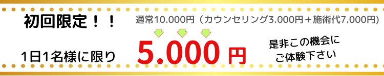 初回限定価格5000円